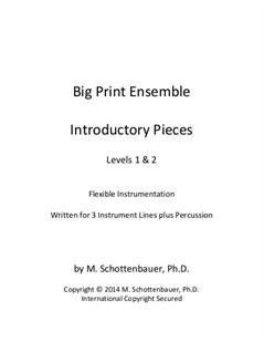 Big Print Ensemble (Level 1 & 2): Introductory Pieces for Flexible Instrumentation