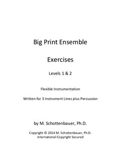 Big Print Ensemble (Level 1 & 2): Exercises for Flexible Instrumentation