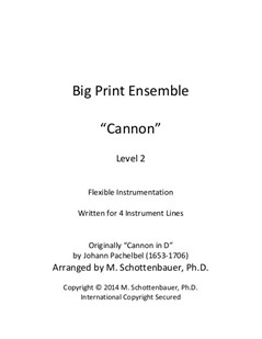 Big Print Ensemble (Level 2): Cannon for Flexible Instrumentation