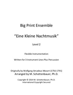 Big Print Ensemble (Level 2): Eine Kleine Nachtmusik for Flexible Instrumentation