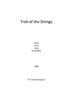 Trek of the Strings