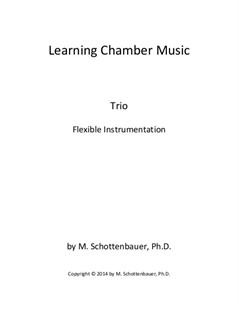 Learning Chamber Music: Trio for Flexible Instrumentation