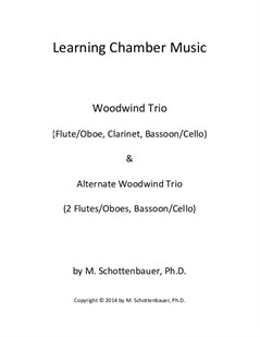 Learning Chamber Music: Woodwind Trio